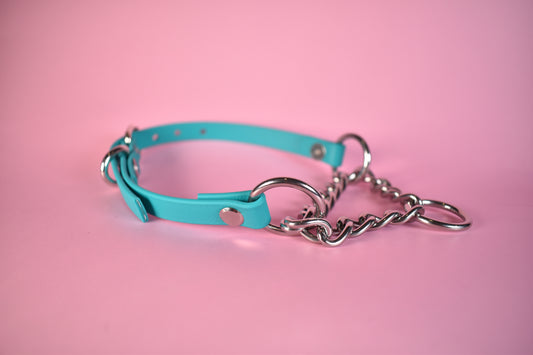 Turquoise Biothane Martingale 1/2 Inch