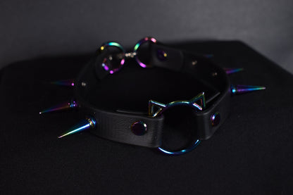 Rainbow Kitty Biothane Choker