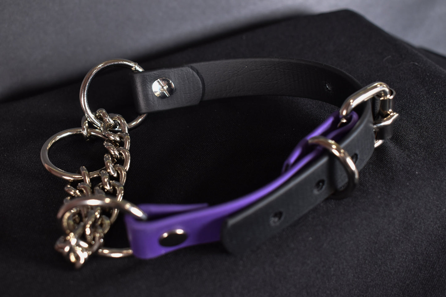 Black And Purple Biothane Martingale 3/4 Inch