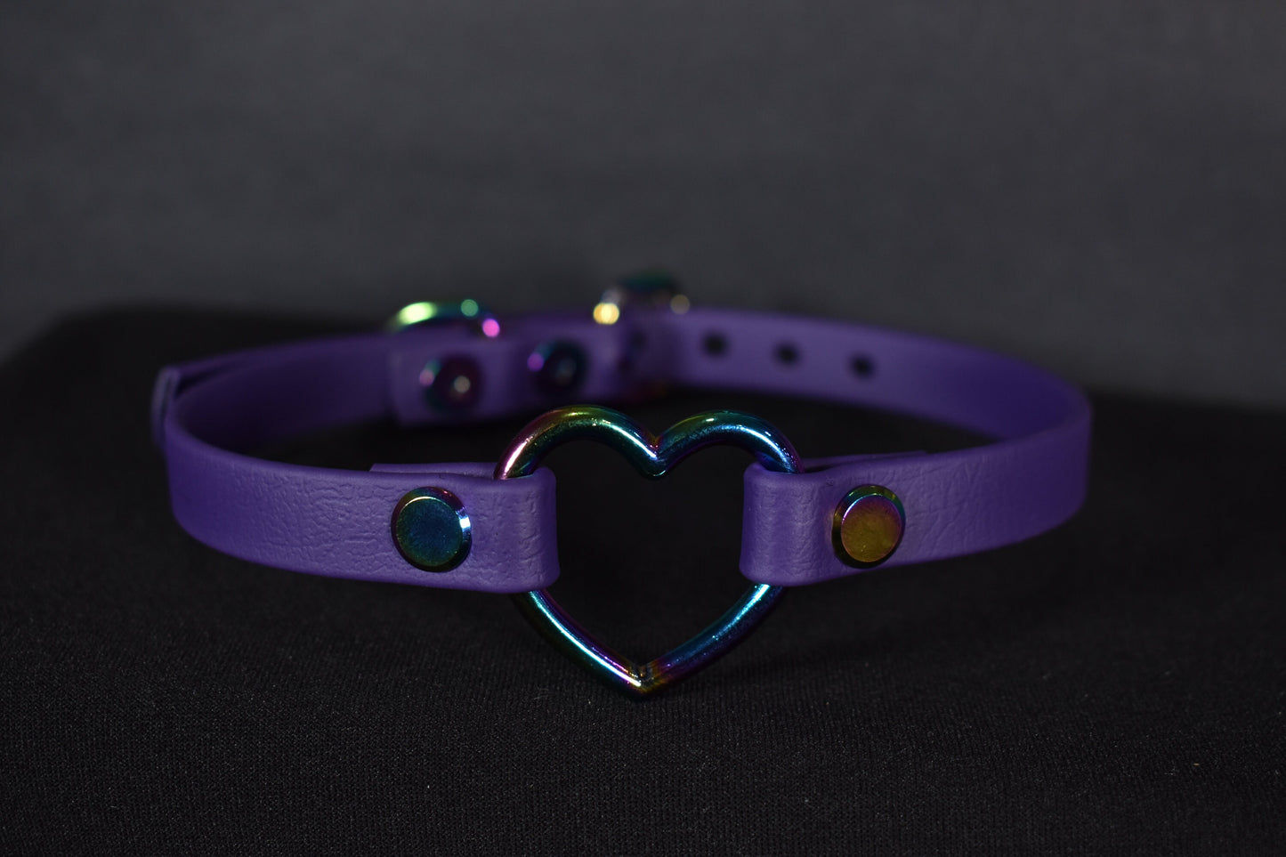 Biothane Rainbow Purple Heart Choker