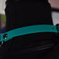 Turquoise Biothane Martingale 1/2 Inch