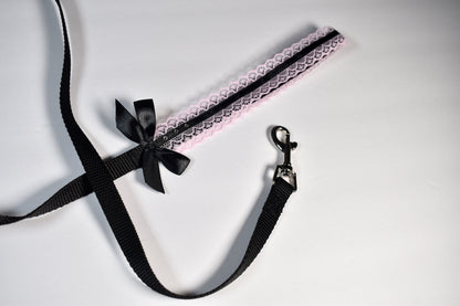 Pink And Black Kitten Play Leash