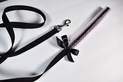 Pink And Black Kitten Play Leash