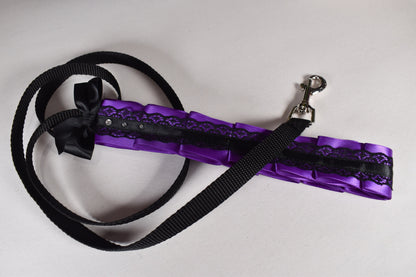 Purple  Kitten Play Leash